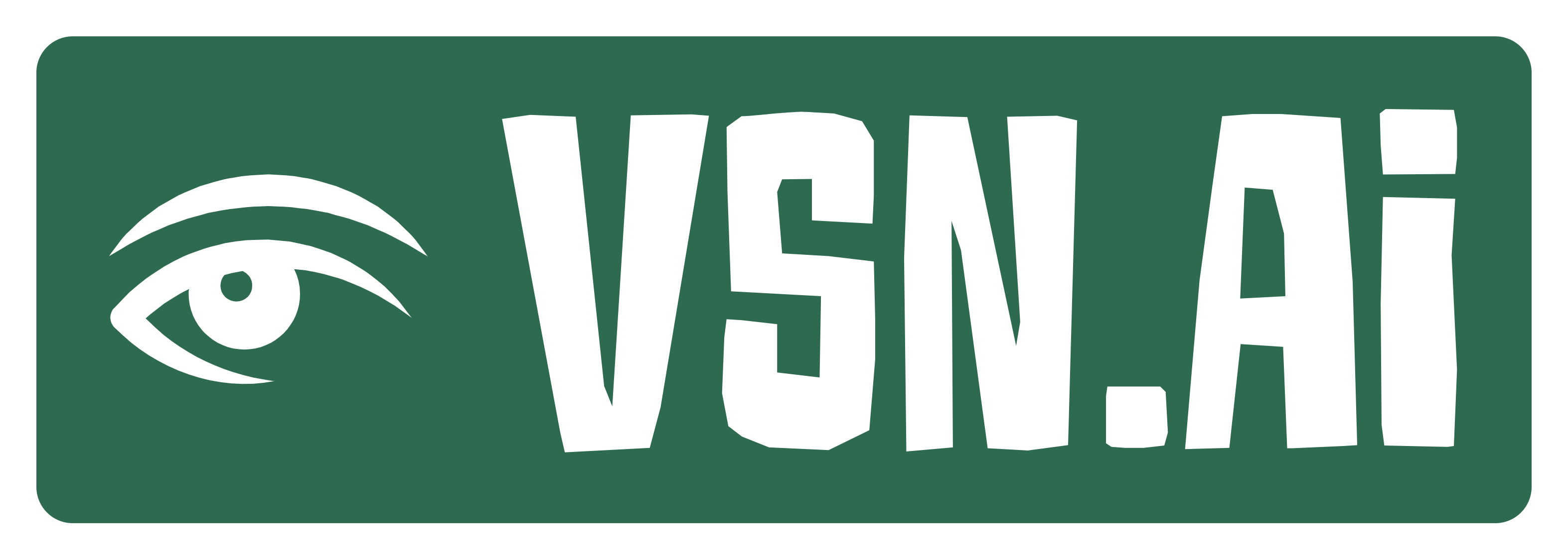 VSN Logo